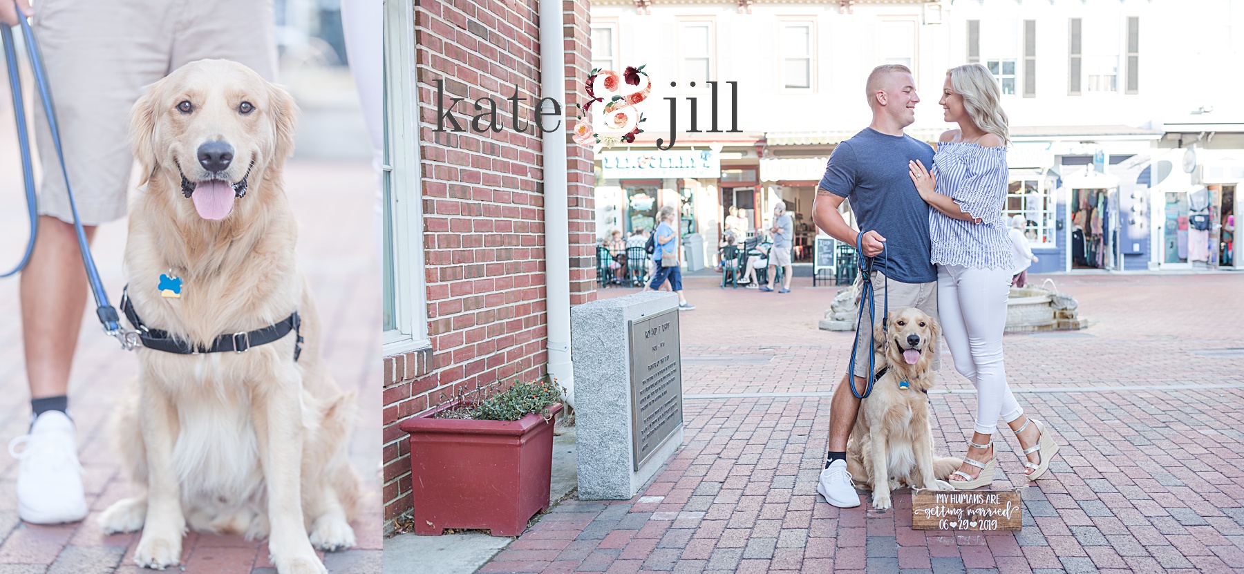 cape may engagement photos with dog