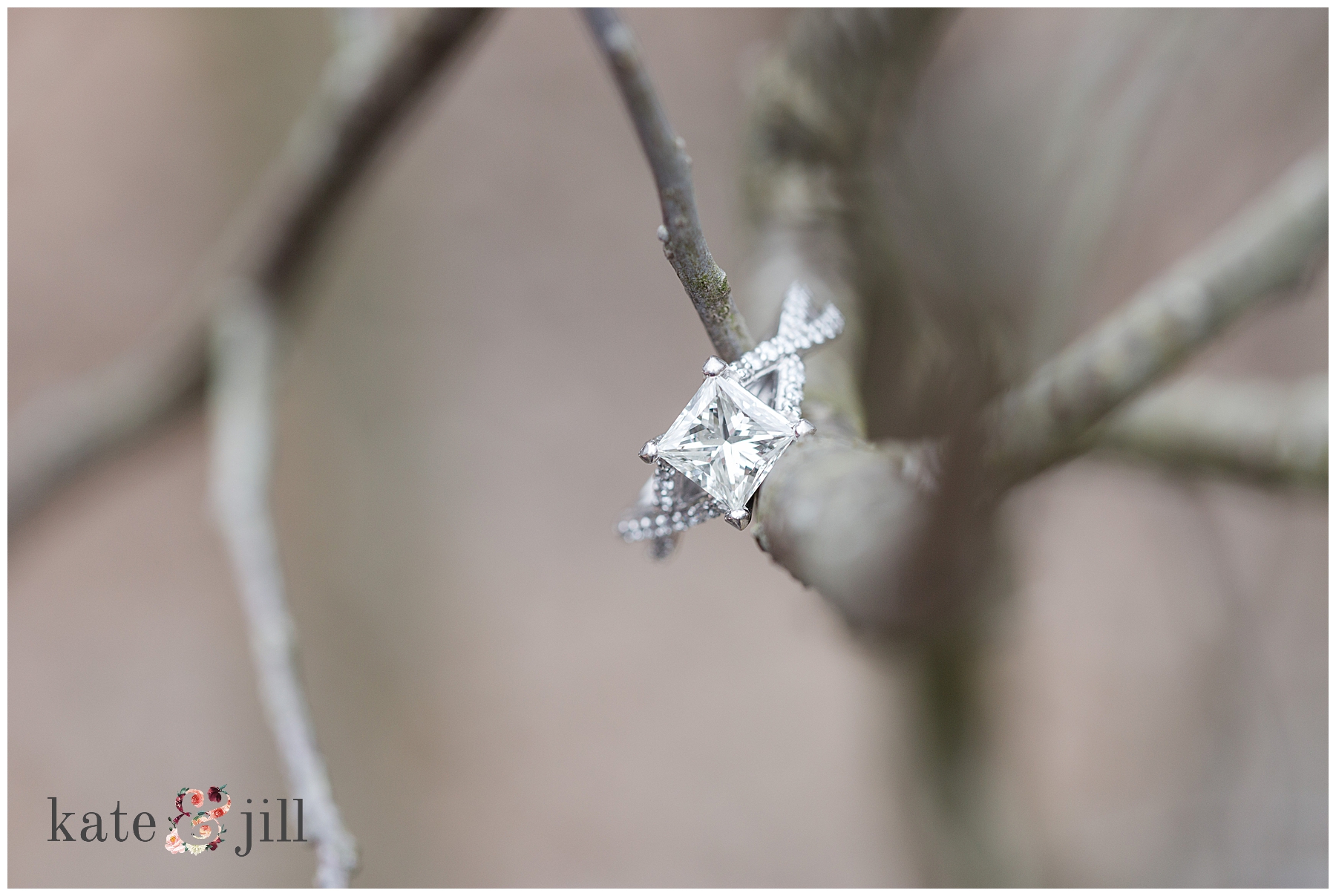 engagement ring on tree branch